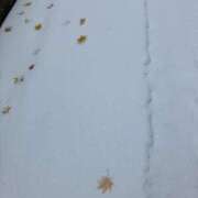 ヒメ日記 2025/11/08 09:59 投稿 あかね 完熟ばなな札幌・すすきの