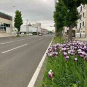 ヒメ日記 2026/06/07 13:59 投稿 あかね 完熟ばなな札幌・すすきの
