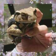 ヒメ日記 2025/03/05 14:30 投稿 かぐら 丸妻 横浜本店