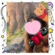 ヒメ日記 2025/03/12 14:00 投稿 かぐら 丸妻 横浜本店