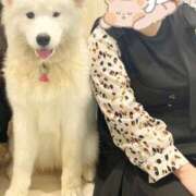 ヒメ日記 2025/10/22 17:41 投稿 かぐら 丸妻 横浜本店