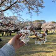 ヒメ日記 2025/04/08 21:01 投稿 ゆゆ ラブリップ所沢