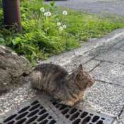 ヒメ日記 2025/05/28 10:00 投稿 ゆゆ ラブリップ所沢