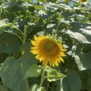 ヒメ日記 2025/09/20 18:49 投稿 らみ One More 奥様　松戸店