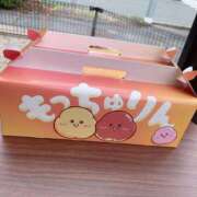 ヒメ日記 2026/06/23 17:25 投稿 ハル クリエーション