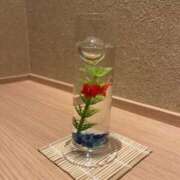 ヒメ日記 2026/08/29 12:05 投稿 ハル クリエーション