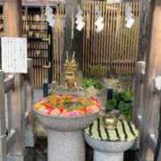 ヒメ日記 2025/03/30 12:04 投稿 舞 シャトーペトラ