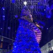 舞 急遽⚠️ シャトーペトラ