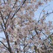 ヒメ日記 2025/04/06 13:48 投稿 ゆうな 厚木人妻城