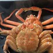 ヒメ日記 2024/12/21 12:45 投稿 まな 性腺熟女100％（デリヘル市場）