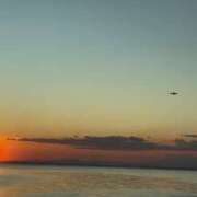 ヒメ日記 2025/01/28 21:00 投稿 まな 性腺熟女100％（デリヘル市場）