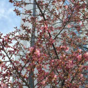 ヒメ日記 2025/02/28 19:05 投稿 まな 性腺熟女100％（デリヘル市場）