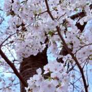 ヒメ日記 2025/03/30 15:50 投稿 まな 性腺熟女100％（デリヘル市場）