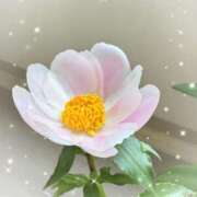 ヒメ日記 2025/05/12 14:15 投稿 まな 性腺熟女100％（デリヘル市場）