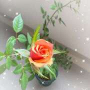 ヒメ日記 2025/11/01 13:30 投稿 まな 性腺熟女100％（デリヘル市場）