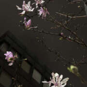 ヒメ日記 2026/03/11 22:00 投稿 まな 性腺熟女100％本店（デリヘル市場）