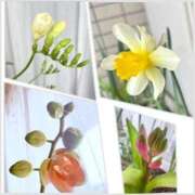 ヒメ日記 2026/03/20 12:15 投稿 まな 性腺熟女100％本店（デリヘル市場）