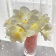 ヒメ日記 2026/03/26 13:00 投稿 まな 性腺熟女100％（デリヘル市場）