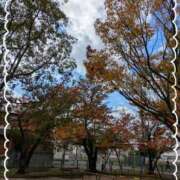 ヒメ日記 2025/01/08 09:56 投稿 なつめ 熟女家 京橋店