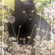 ヒメ日記 2025/05/11 21:46 投稿 なつめ 熟女家 京橋店