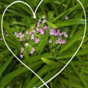 ヒメ日記 2025/06/02 10:26 投稿 なつめ 熟女家 京橋店