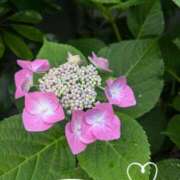 ヒメ日記 2025/06/03 23:21 投稿 なつめ 熟女家 京橋店