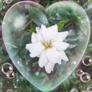 ヒメ日記 2025/07/09 12:06 投稿 なつめ 熟女家 京橋店