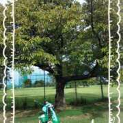 ヒメ日記 2025/07/15 13:03 投稿 なつめ 熟女家 京橋店