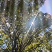 ヒメ日記 2025/09/30 11:16 投稿 なつめ 熟女家 京橋店