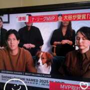 ヒメ日記 2025/11/14 09:56 投稿 なつめ 熟女家 京橋店