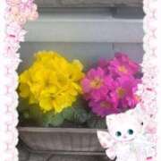 ヒメ日記 2026/02/03 11:36 投稿 なつめ 熟女家 京橋店