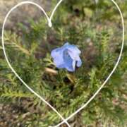 ヒメ日記 2026/03/23 22:36 投稿 なつめ 熟女家 京橋店