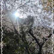 ヒメ日記 2026/03/30 08:29 投稿 なつめ 熟女家 京橋店