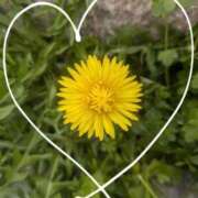 ヒメ日記 2026/03/30 21:26 投稿 なつめ 熟女家 京橋店