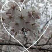 ヒメ日記 2026/03/31 16:08 投稿 なつめ 熟女家 京橋店