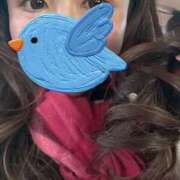 ヒメ日記 2025/02/23 21:20 投稿 えりな モアグループ小山人妻花壇