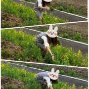 ヒメ日記 2025/03/25 02:54 投稿 えりな モアグループ小山人妻花壇