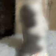 ヒメ日記 2025/09/14 11:30 投稿 えりな モアグループ小山人妻花壇