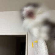 ヒメ日記 2025/09/20 09:41 投稿 えりな モアグループ小山人妻花壇