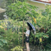 ヒメ日記 2025/10/27 09:00 投稿 えりな モアグループ小山人妻花壇