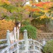 ヒメ日記 2025/12/05 09:00 投稿 えりな モアグループ小山人妻花壇