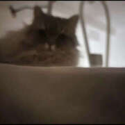 ヒメ日記 2025/12/20 21:00 投稿 えりな モアグループ小山人妻花壇