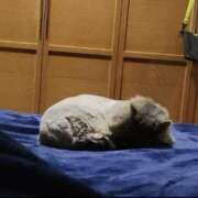 ヒメ日記 2026/01/20 18:00 投稿 えりな モアグループ小山人妻花壇