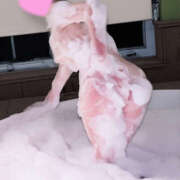 ヒメ日記 2025/11/12 23:40 投稿 せいか 奥鉄オクテツ奈良