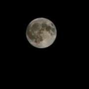 あきな 出勤日の訂正とお詫び 五反田・品川おかあさん