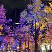 ヒメ日記 2024/12/12 23:09 投稿 りんね 恋愛生欲情の扉