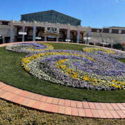 ヒメ日記 2025/02/20 23:54 投稿 りんね 恋愛生欲情の扉