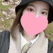 ヒメ日記 2025/04/04 14:19 投稿 乙川 優希 メルビス＆アトリアーナ