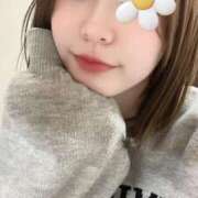 ヒメ日記 2025/04/04 19:56 投稿 乙川 優希 メルビス＆アトリアーナ