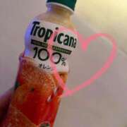 ヒメ日記 2025/04/14 12:56 投稿 乙川 優希 メルビス＆アトリアーナ